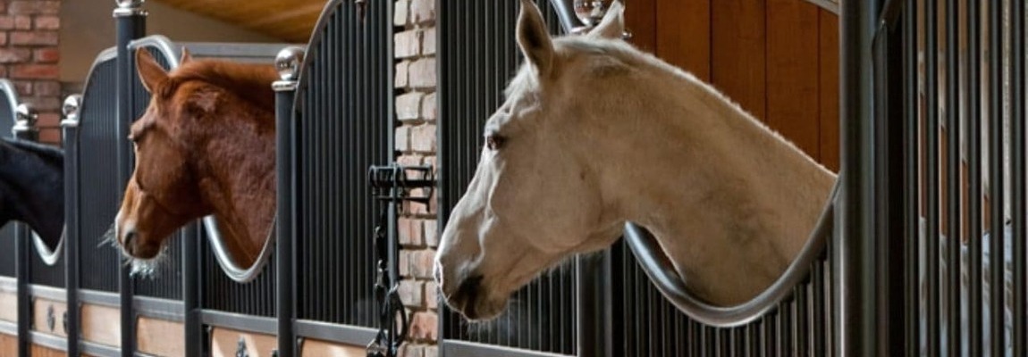 equipment for the stable from the manufacturer Equine-house, individually, with high quality